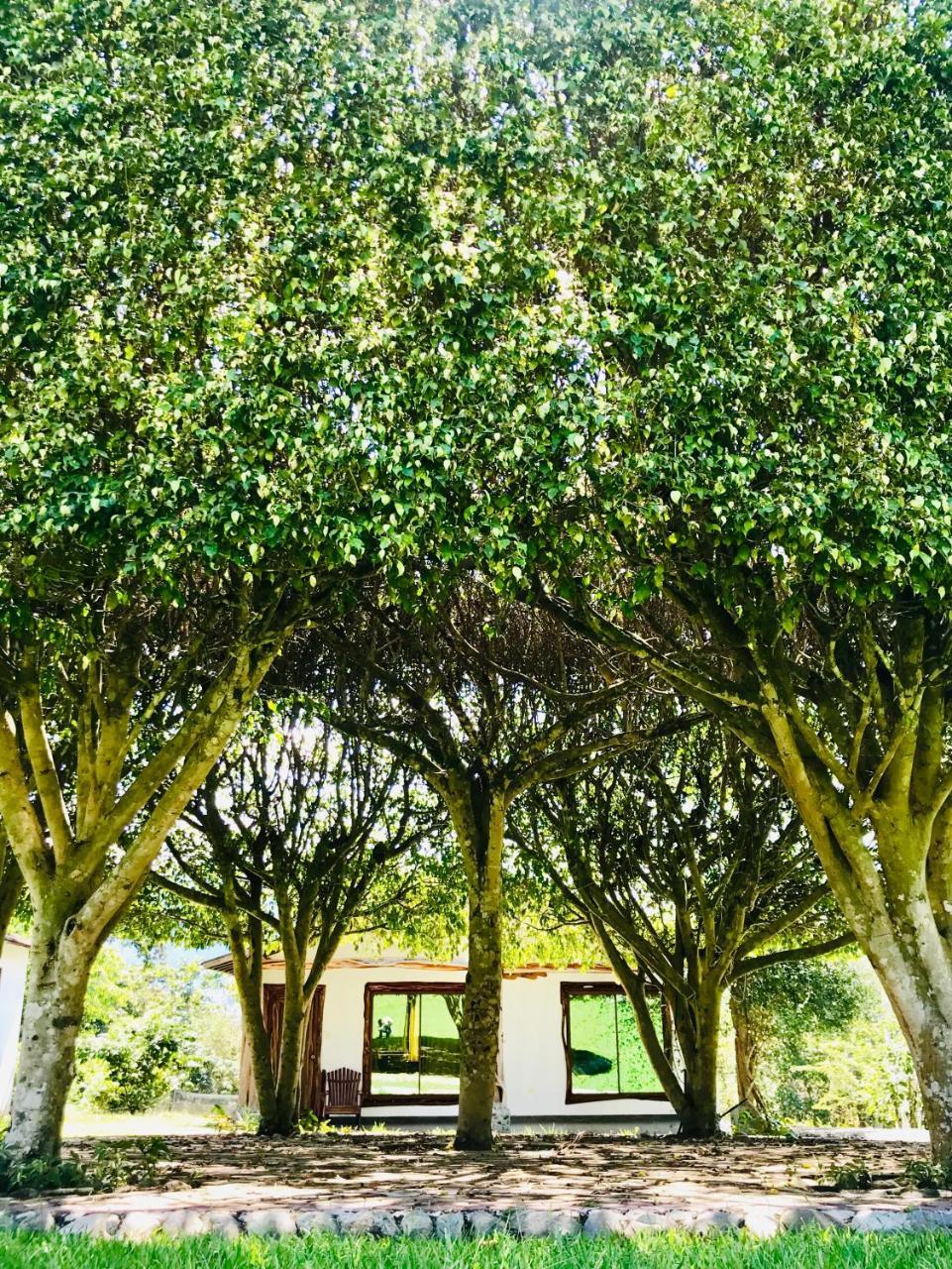 Hosteria Tierra Dorada Yantzaza Exteriér fotografie