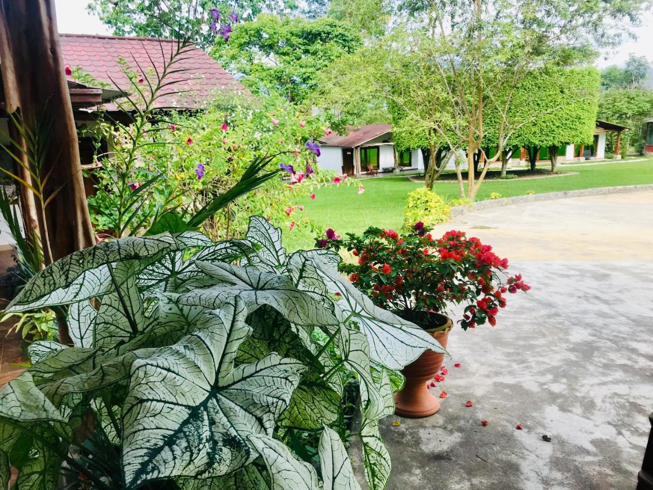 Hosteria Tierra Dorada Yantzaza Exteriér fotografie